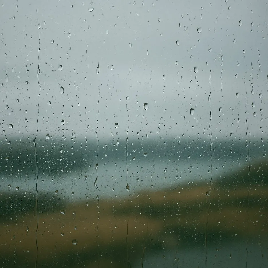 Copilot_20260211_004411.jpg?type=w1