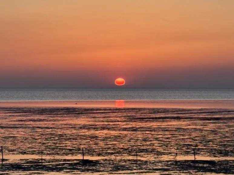 Resized_1772237919189.jpg?type=w773