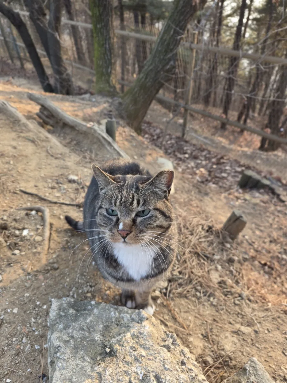 Resized_20260131_082658.jpg?type=w1