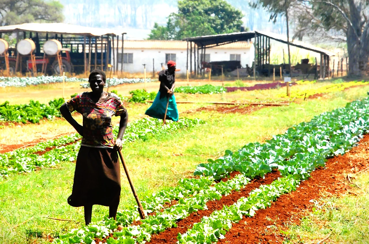 짐바브웨 여인.JPG