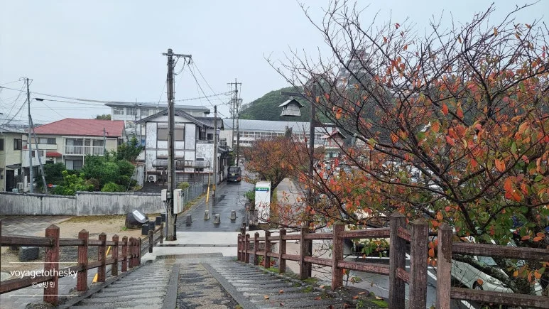 SE-36d7b1a4-7ccf-4c56-b588-8d4e53edcd2f.jpg?type=w773