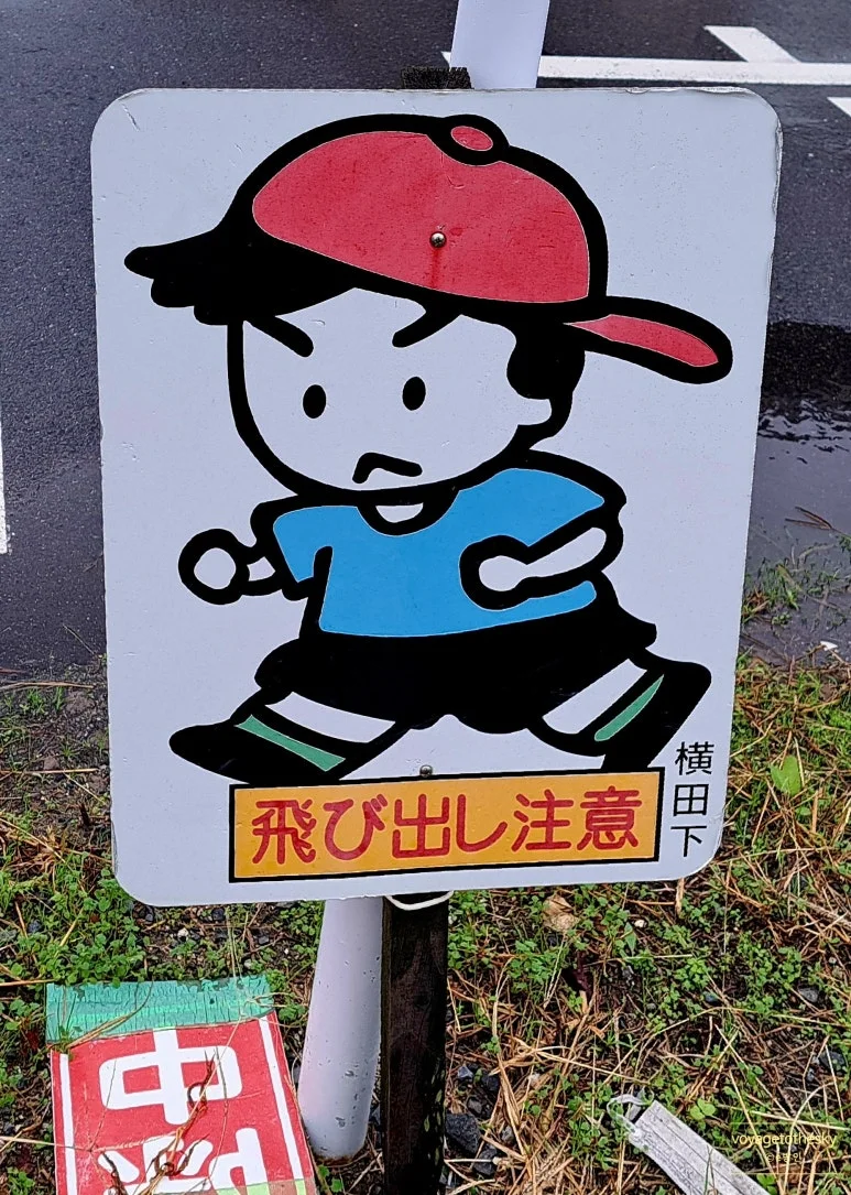 SE-aaf16d59-63f6-4b0e-9715-870e508ac05b.jpg?type=w773