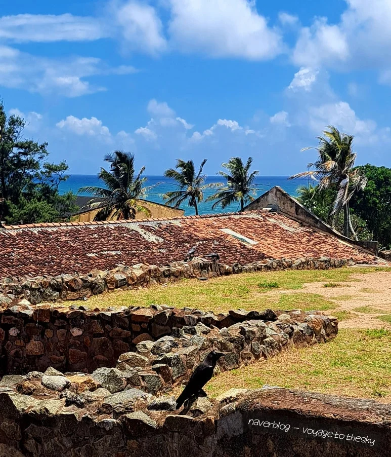 SE-ecc27f27-4a9b-4f42-94d3-1f25310176a3.jpg?type=w773