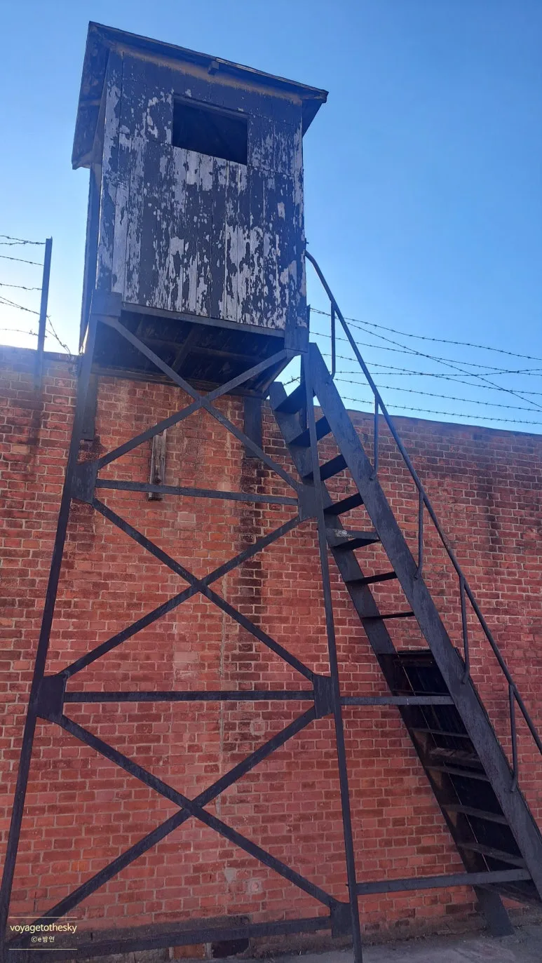 SE-7db3c1b7-78ff-4a5e-9f8b-5f459e489960.jpg?type=w773