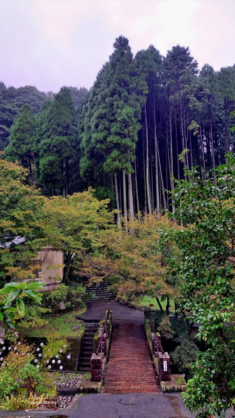 SE-439f7c83-7fd2-410a-92b8-5ac87b8a9d97.jpg?type=w773