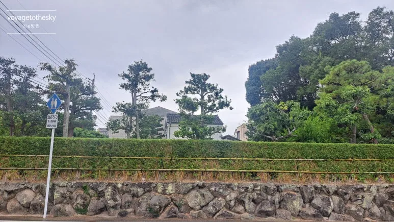 SE-9e0c2cb6-0549-4c29-952a-447f0e0b033b.jpg?type=w773