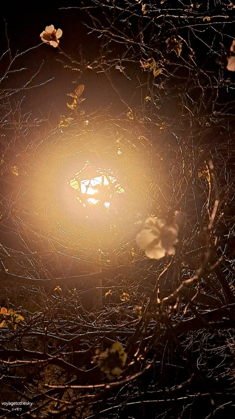 SE-f5a21b10-f3f8-4d90-9ddc-22bcfcbe8198.jpg?type=w773