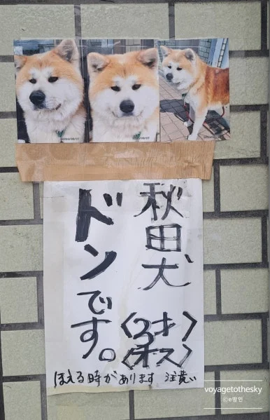 SE-8412ee66-590b-425e-ba69-9af3c6e0ff68.jpg?type=w386