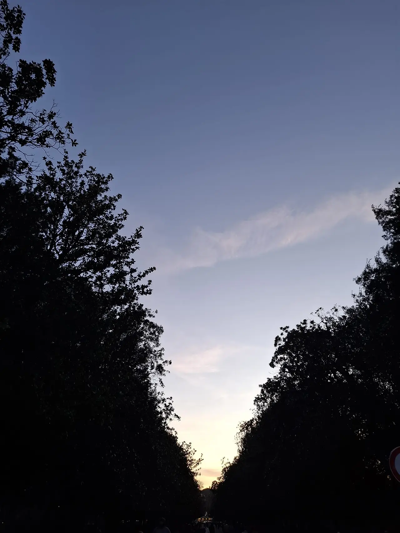 WhatsApp Image 2026-03-05 at 13.59.41 (1).jpeg