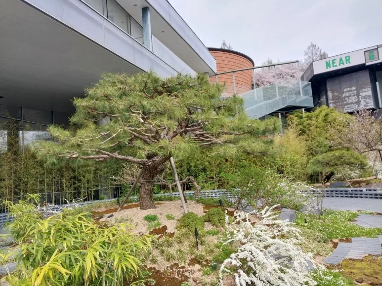 KakaoTalk_20260406_091847943_01.jpg?type=w773