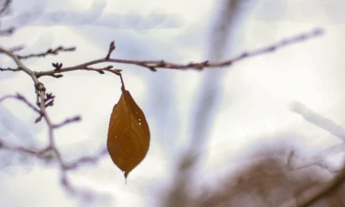 ?src=%22https%3A%2F%2Fblogthumb.pstatic.net%2FMjAyNTA5MjdfMjQg%2FMDAxNzU4OTIyNzM5MjYx.s1i5o7vOSq1YMe2OU9vYyBBTyHxHYFSTHApjleI3jtQg.yEyrwqdign-HrFHdBjXSCuhLwAWbTm93MMSz8XweZbUg.JPEG%2F%25B8%25B6%25C1%25F6%25B8%25B7%25C0%25D9%25BB%25F5.jpg%3Ftype%3Dw2%22&type=ff500_300