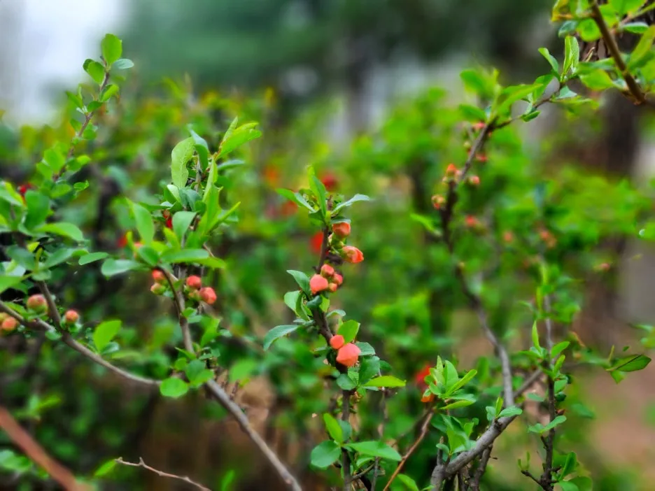 SE-d20108c4-e947-4b3a-8d74-bf394a043c9c.jpg?type=w1