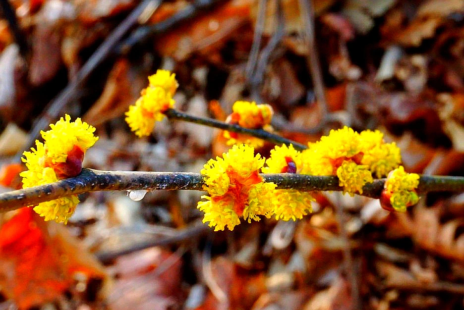 SE-fdc4de54-0d6a-492a-96a1-4720b3a55ac6.jpg?type=w1