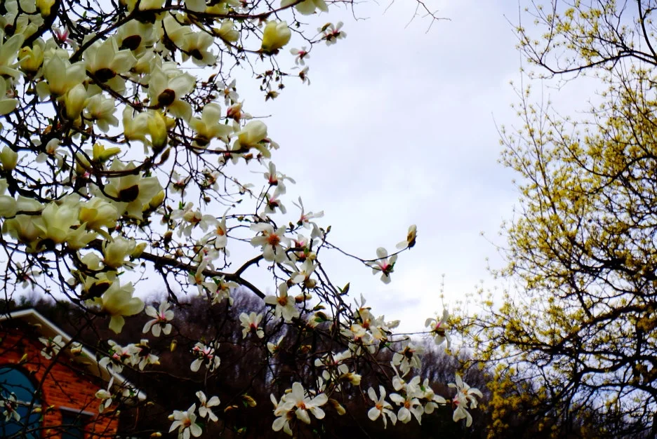 SE-cf9bdc09-6047-47ba-8c93-b2096d8f517e.jpg?type=w1