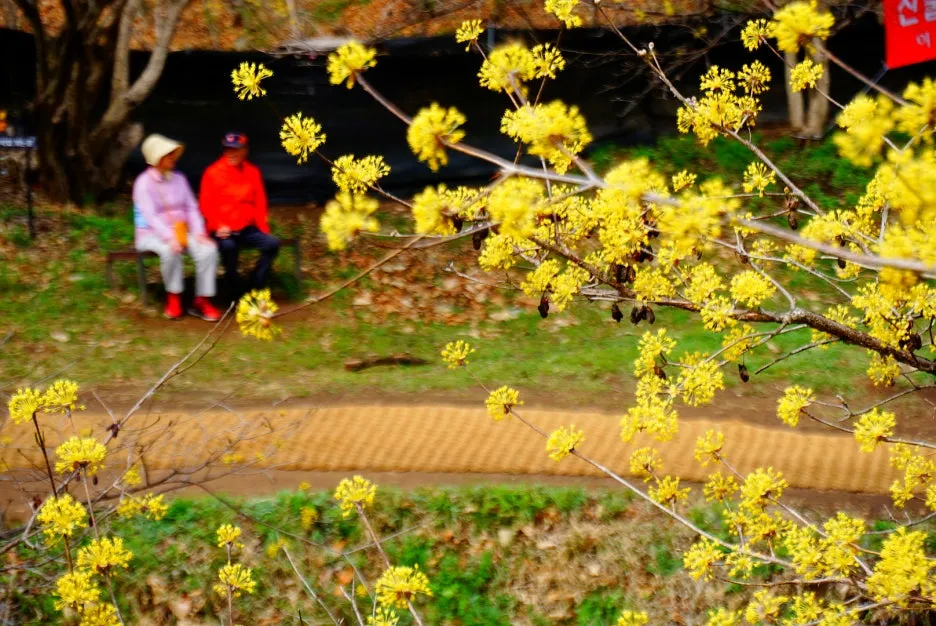 SE-fe65d0a3-05aa-4b56-86f1-4f2bf630dfb4.jpg?type=w1