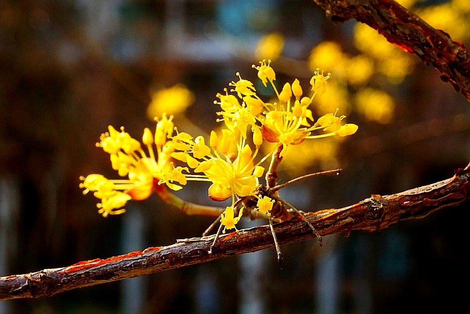 SE-2ed7acd9-2370-4410-80ca-3f40cb832946.jpg?type=w1