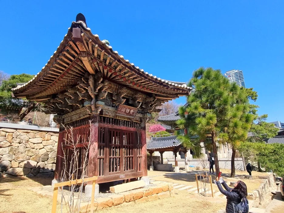 SE-0a7a4a0d-6782-4807-8ac2-f3572d5bd5af.jpg?type=w1