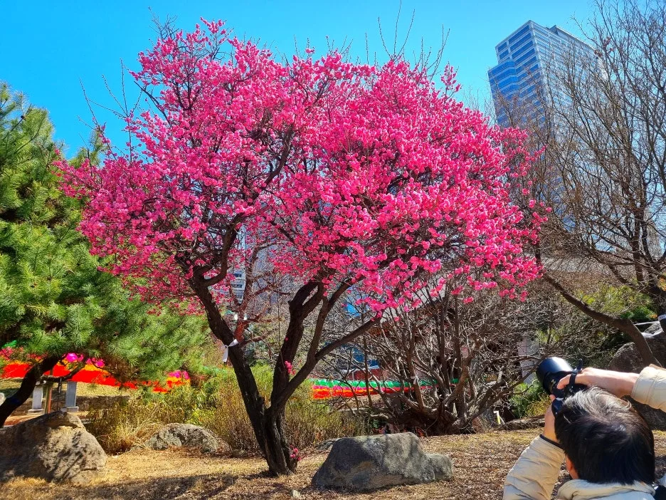 SE-5423c6e8-fe5b-4c43-a3cb-0fe6898544be.jpg?type=w1