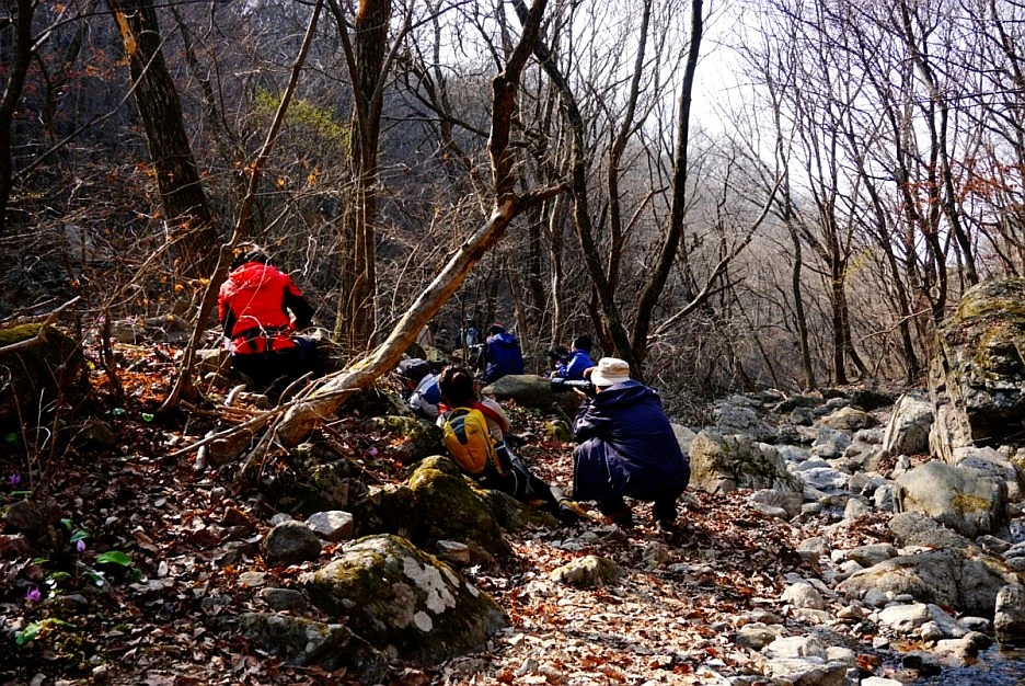 SE-3783ef9b-3559-4d25-af36-b48fd50be932.jpg?type=w966