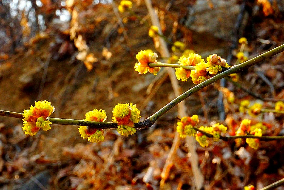 SE-879d039b-2934-4418-86f7-e35e4945468c.jpg?type=w1