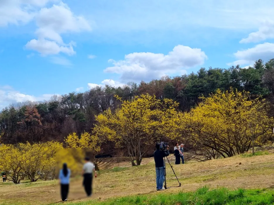 SE-555565c5-0166-4a15-b24f-de4cd3a607b2.jpg?type=w1