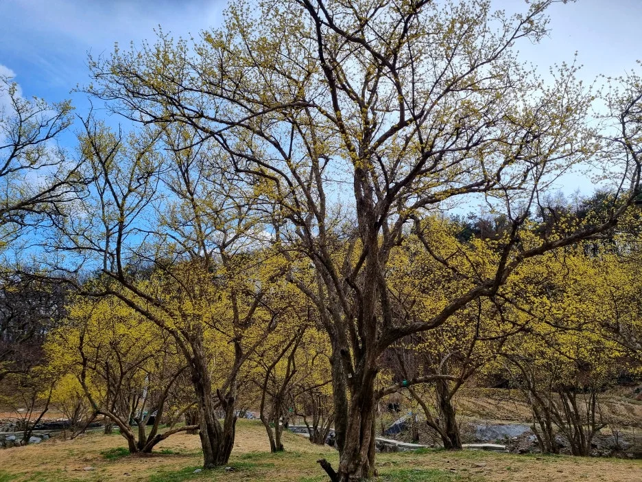 SE-68bc151f-5aa7-48e6-b86b-11e44b923727.jpg?type=w1