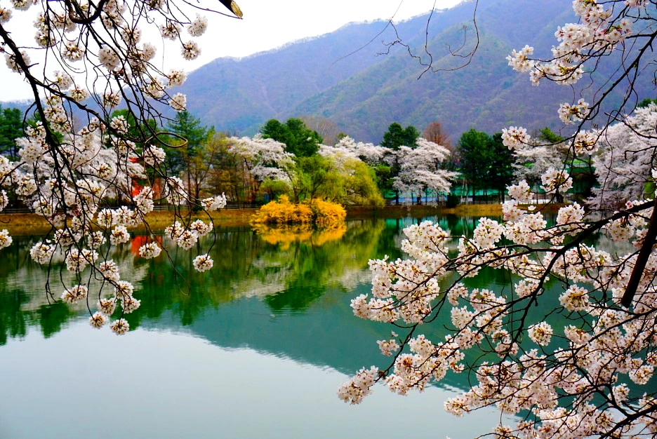 SE-341acdc6-5175-49fe-9c21-05213e474f36.jpg?type=w1