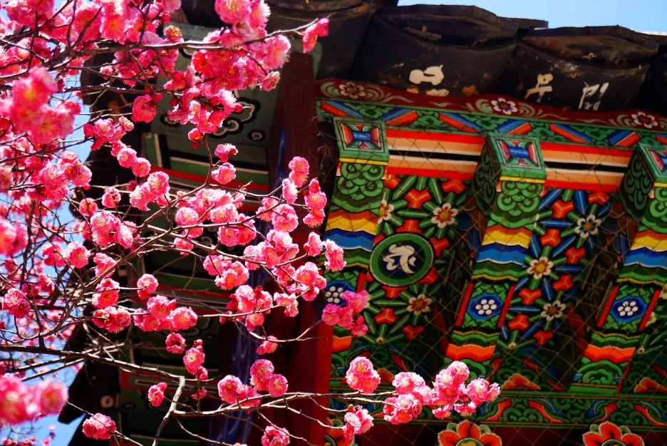 SE-48b17cf1-5552-4bd7-bb89-631ac113ba70.jpg?type=w1