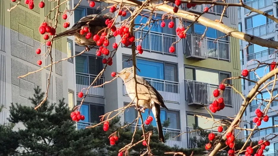 SE-6fdf4d3e-e7a3-464f-867a-a783e643f8d2.jpg?type=w1