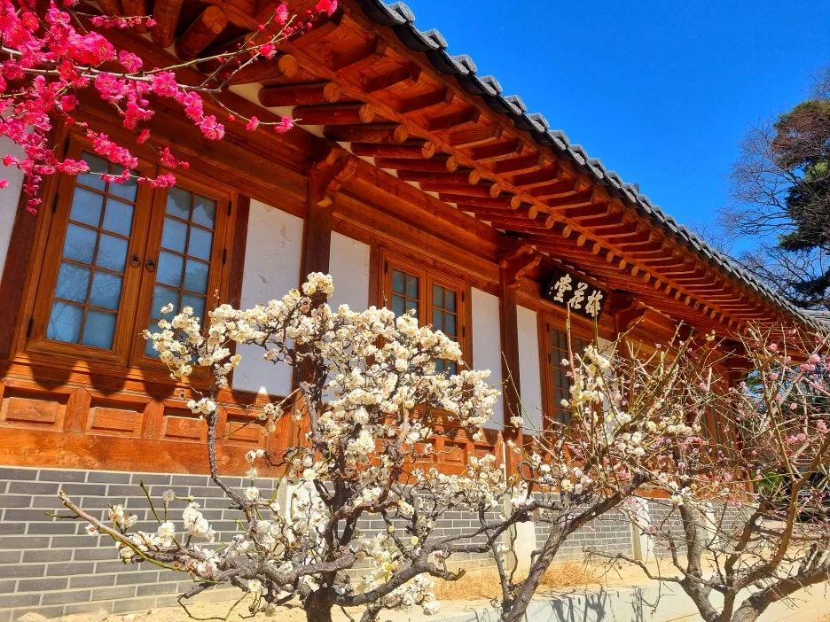 SE-914cea43-f3fd-4e63-8f61-282edccb383f.jpg?type=w1