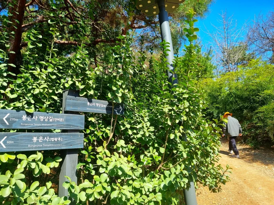 SE-ab6baccd-06ed-4404-aa98-b21e60d9aef1.jpg?type=w1