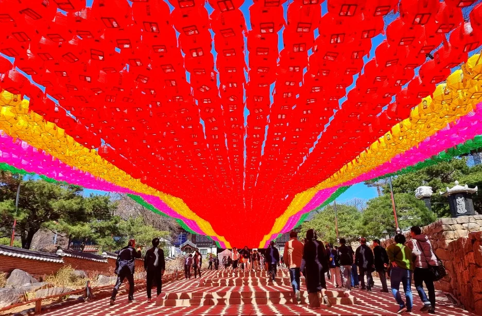 SE-0e43545d-8b83-4e0f-b8f7-3c1301b96b06.jpg?type=w1