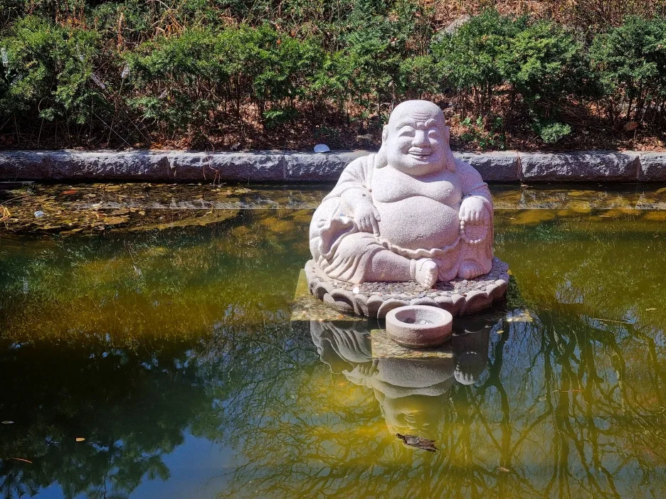 SE-9bb3a39a-0e69-47e4-bf37-7e9b829cd689.jpg?type=w1