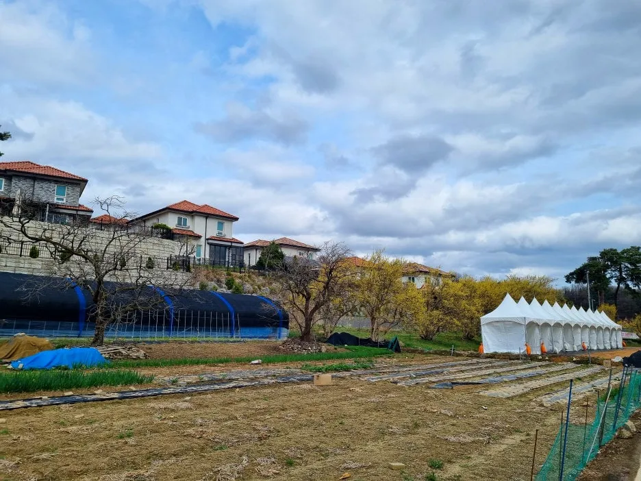 SE-2c4bc642-492b-49c1-8844-ae770a5762c8.jpg?type=w1