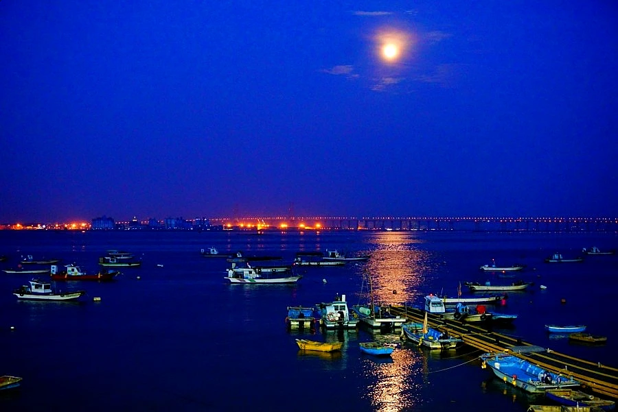 SE-261786fd-2823-4389-af2e-ef4458359daa.jpg?type=w1