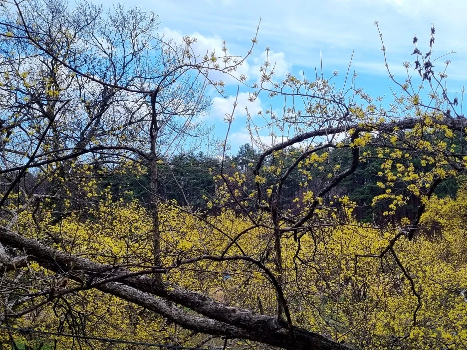 SE-05eeb100-4222-4fb7-a094-44e8dccb6886.jpg?type=w1