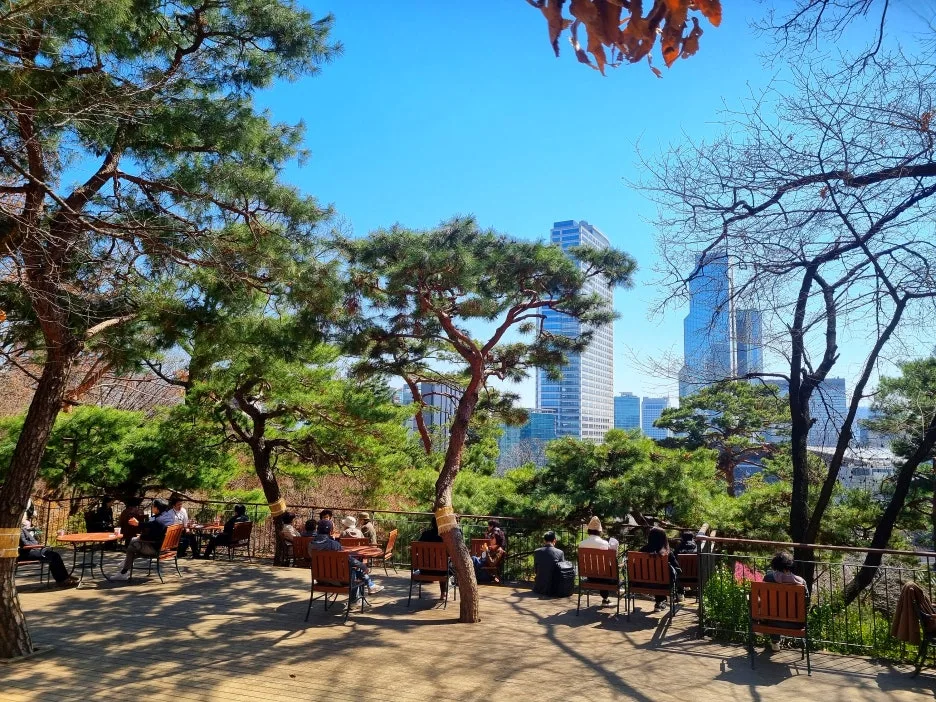 SE-4311f5c3-a530-46cb-aa15-b3172ddbb942.jpg?type=w1