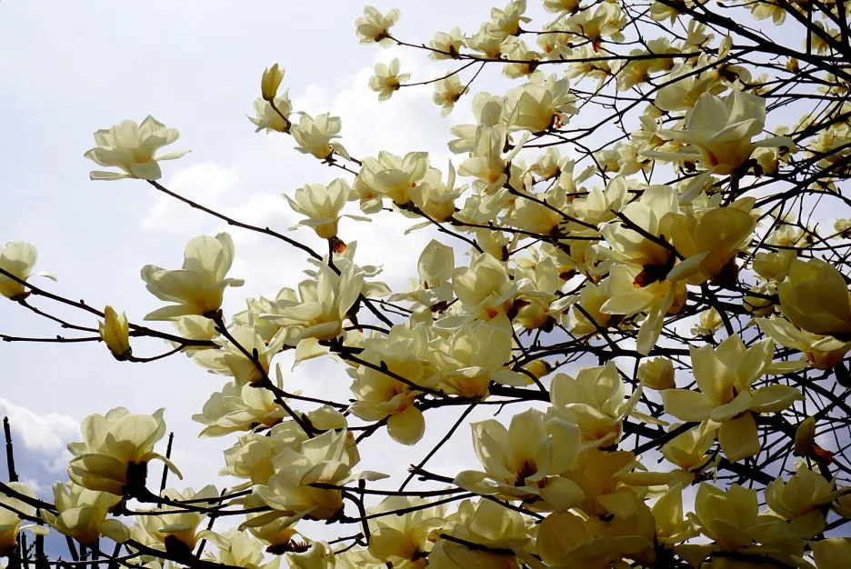 SE-972c7df2-8739-4816-866d-bf168b0decae.jpg?type=w1