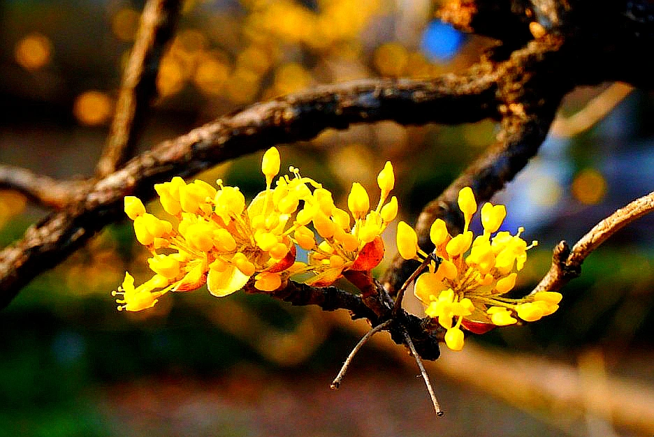 SE-b1be7f1a-2a26-4df4-b6fb-ca4aed9ead92.jpg?type=w1