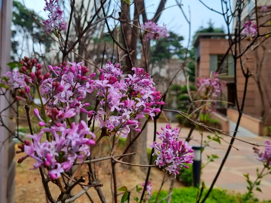 SE-ae9e0958-af44-426b-8cbb-a33d6bf422d9.jpg?type=w1