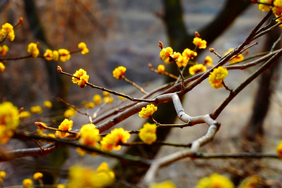 SE-0b055876-954c-4bb1-b0df-b9e1cc1db60e.jpg?type=w1