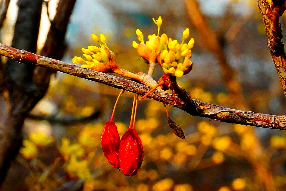 SE-abcc80fc-df73-4110-9bb8-607218b7ce3e.jpg?type=w1