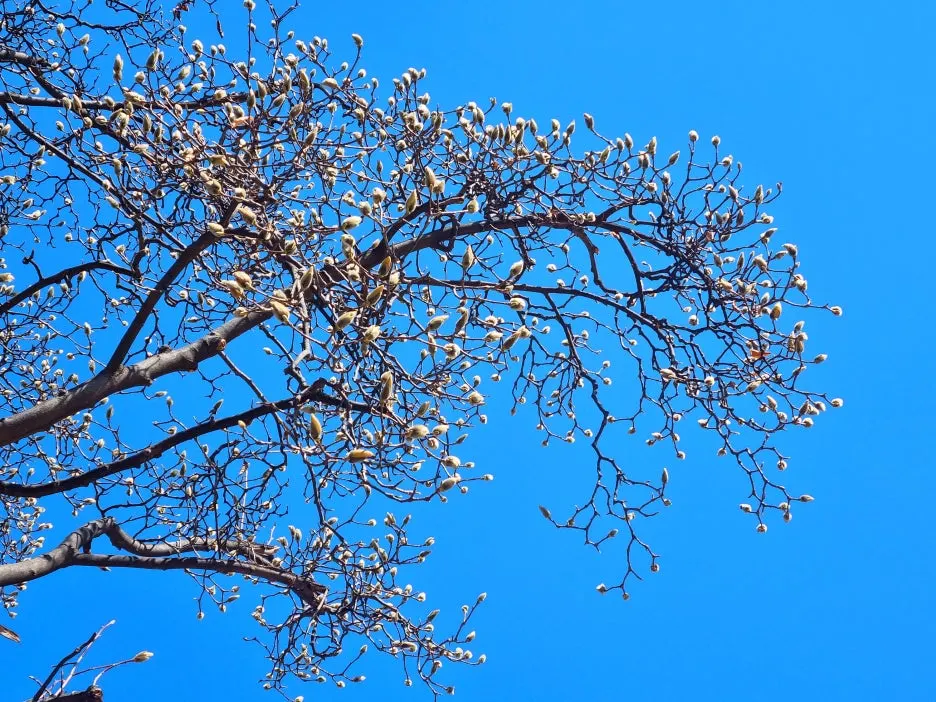 SE-64776920-7ef6-4414-b153-76e3d69562a7.jpg?type=w1