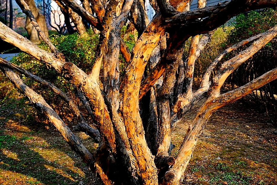 SE-23ddad69-0365-4a18-ba9e-64ef2d4efdce.jpg?type=w1