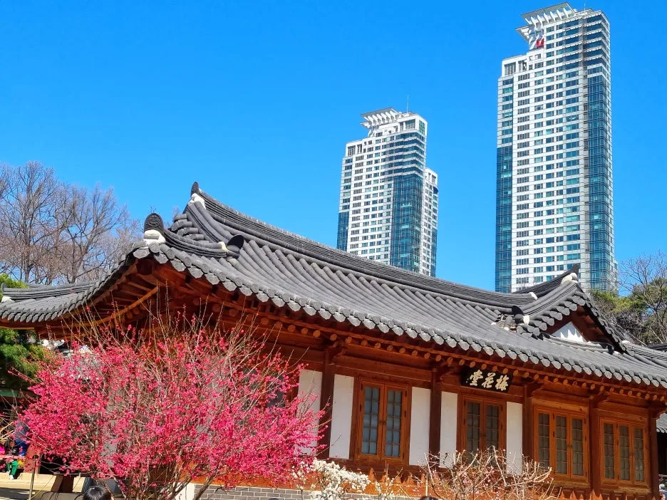 SE-c6470541-b893-40ed-86ab-f72f0a0c3896.jpg?type=w1