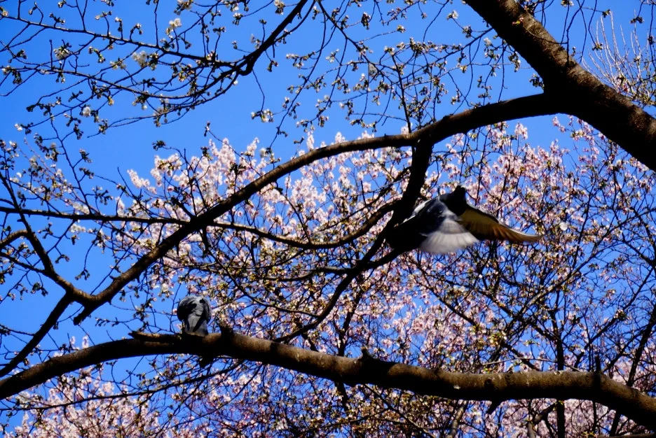 SE-32ae120e-b052-4166-a5c3-92f09351037a.jpg?type=w1