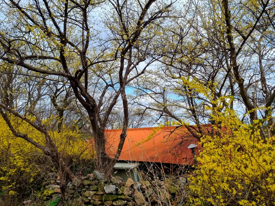 SE-1214f225-86e3-4e80-b429-acb0dd776c23.jpg?type=w1