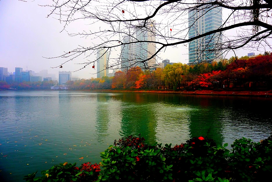 SE-9c536a3e-de68-46a3-85a9-f75668bc0abd.jpg?type=w1