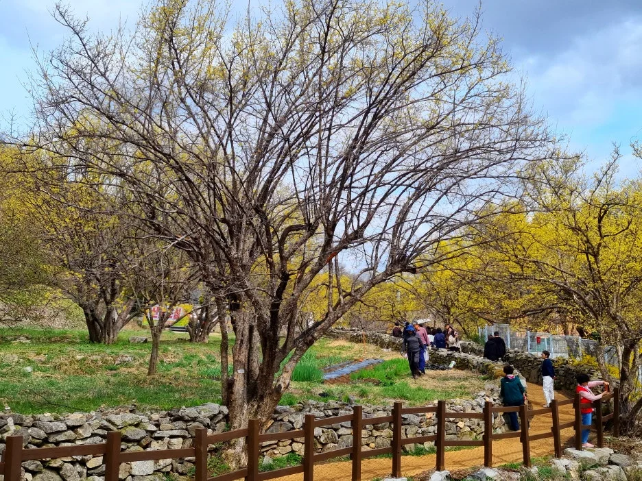 SE-144278b6-e6e7-4239-9d56-3122f27fc7b7.jpg?type=w1