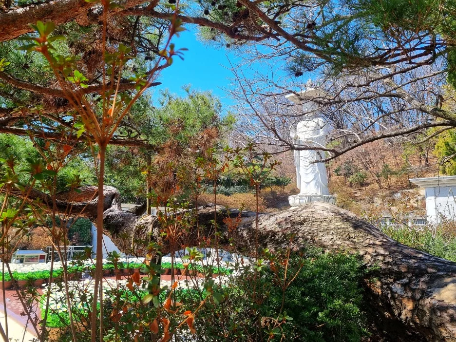 SE-4966ac8c-0983-4e5f-991b-24d2cc9a1ed3.jpg?type=w1